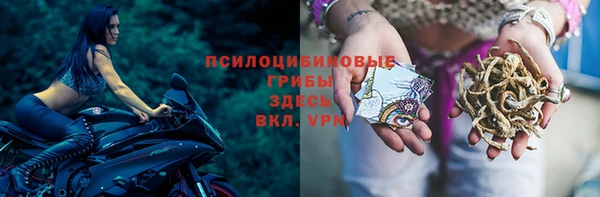 соль ск Арсеньев