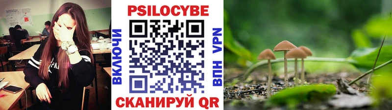 Галлюциногенные грибы мухоморы Куйбышев